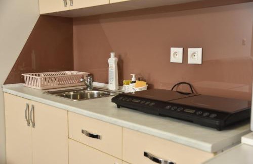 Central Serbia Apartment | Boja Zalaska - kameni apartman