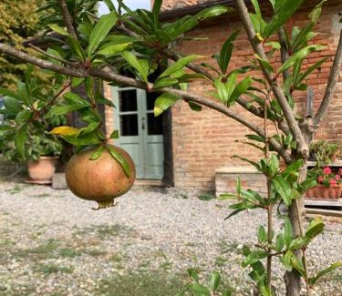 Le Piazze Apartment | Borgo Montefreddo Toscana