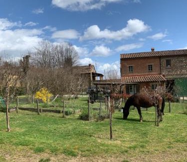 Le Piazze Apartment | Borgo Montefreddo Toscana