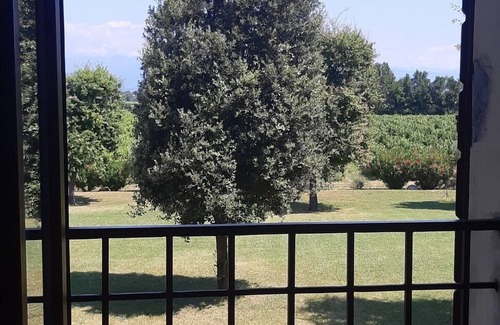 San Benedetto di Lugana House | Borgo San Donino - Selva Capuzza