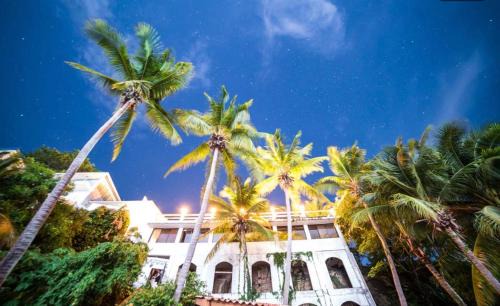 Contadora Island Hotel | Boutique Beachfront Hotel on Isla Contadora