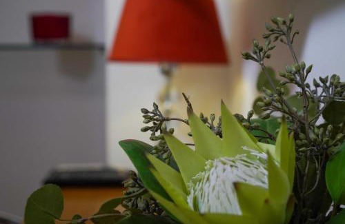 Split House | Boutique Guest Accommodation Zephyrus