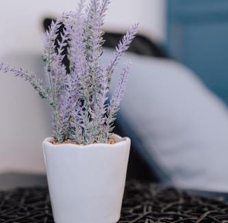 Madona House | Brīvdienu māja Sniegi