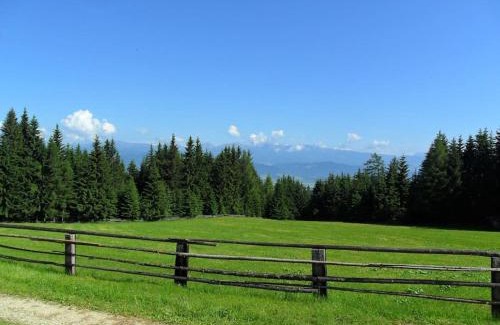 Eppenstein Ski Chalet | Brandner Almhütte