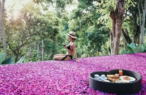 Ubud City-Centre Hotel | Bucu View Resort by Pramana