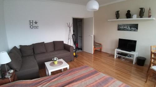 Vizivaros Apartment | Buda Downtown Apartment