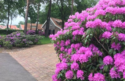 Hoge Hexel House | Buitenhuis de Pimpelmees