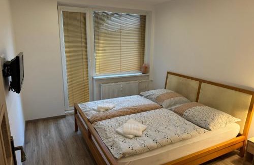 Juh Apartment | Bulharská Trojizbový apartmán