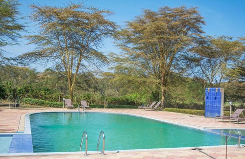 Naivasha Other | Burch's Resort Naivasha Camping