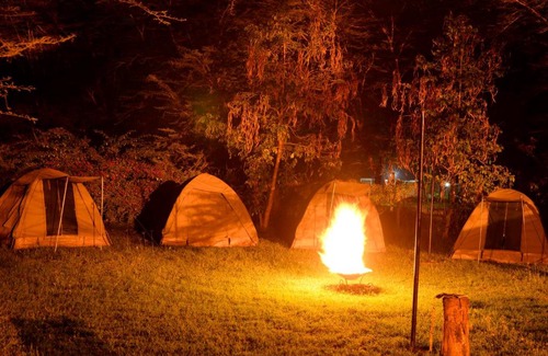Naivasha Other | Burch's Resort Naivasha Camping