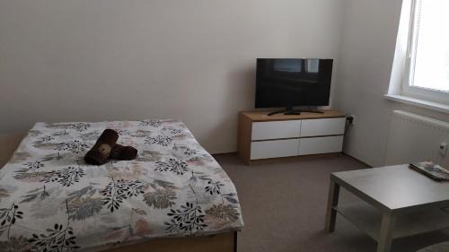 Valtice Apartment | BYT POD ZÁMKEM