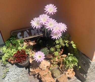 Tremezzina House | Cà del Fili