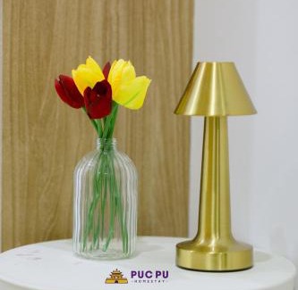 Hue Apartment | Căn Hộ Cao Cấp PucPu Apartment Huế