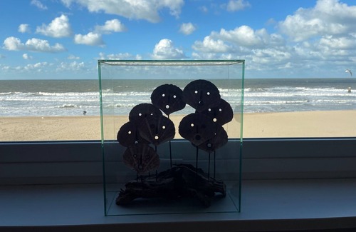 Ostend Apartment | C the C OostendennApartment with an Amazing viewnn