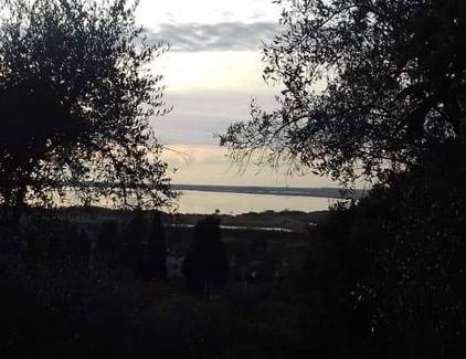 Massaciuccoli Villa | CA' MENEGHETTI