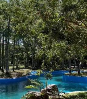 Pucon Villa | Cabaña Angka Wenu