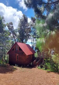 San Jose del Pacifico Ski Chalet | Cabaña en el Bosque de San José del Pacífico 4