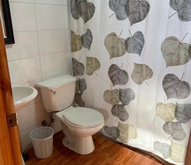 Lican Ray Apartment | Cabaña para 6 personas