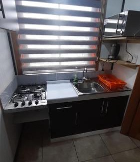 Panguipulli Apartment | Cabaña Punto Punahue