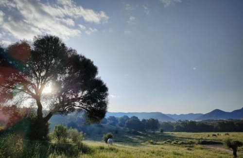 Prado del Rey Other | Cabaña rústica en un rancho con caballos, Prado del Rey, Andalucía
