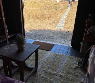 Prado del Rey Other | Cabaña rústica en un rancho con caballos, Prado del Rey, Andalucía