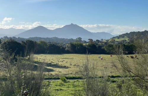 Prado del Rey Other | Cabaña rústica en un rancho con caballos, Prado del Rey, Andalucía