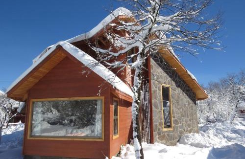 Pinto Cabin | Cabañas Alto Cordillera