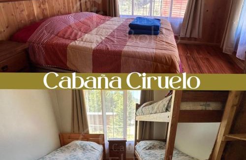Lican Ray Cabin | Cabañas El Boldo