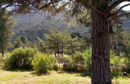 Lago Puelo Ski Chalet | Cabañas monoambiente La Generosa LP