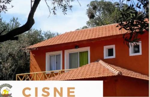 Merlo Apartment | Cabañas Pio Pio
