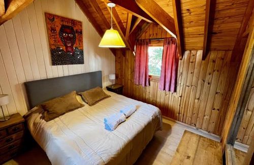 Lanin National Park Cabin | Cabañas Pista Uno Ski Village