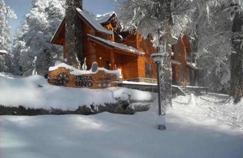 Lanin National Park Cabin | Cabañas Pista Uno Ski Village