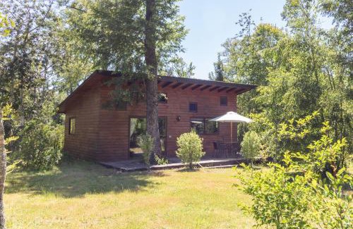 Pucon Ski Chalet | Cabañas Pucon Location