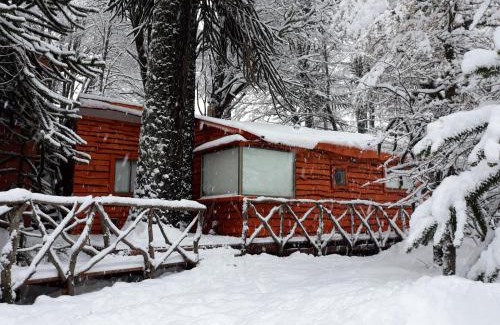 Curacautin House | Cabañas Pukem