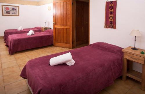 Lanin National Park Apartment | Cabañas Rucaleufu