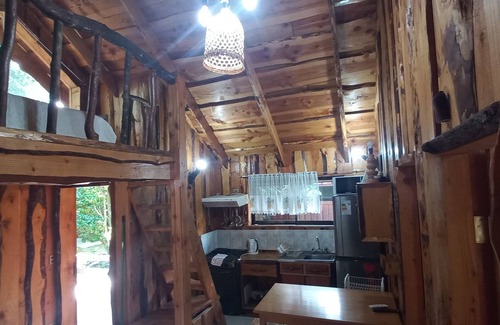 Choshuenco Cabin | Cabañas Rucapillan