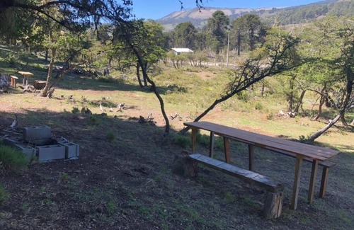 Lonquimay Apartment | Cabañas y camping Vista Mahuida