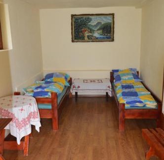 Salciua de Jos House | Cabana La Florut