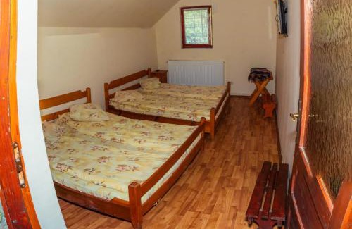 Salciua de Jos House | Cabana La Florut