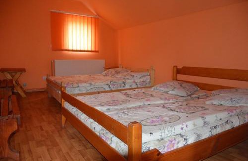 Salciua de Jos House | Cabana La Florut
