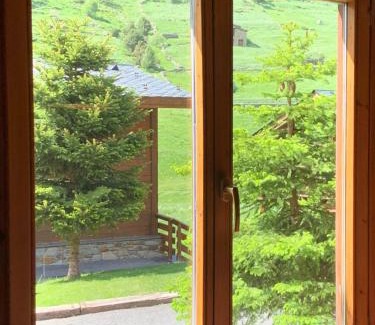 Soldeu Apartment | CABANA SORDA - Peu del Riu 302 - Vall d'Incles - Soldeu Hut 7868