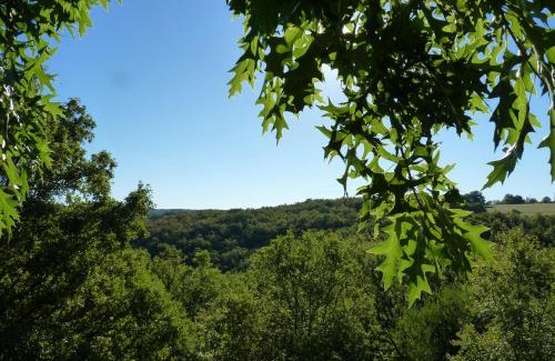 Salignac-Eyvignes Bed & Breakfast | Cabane-hobbit de Samsaget