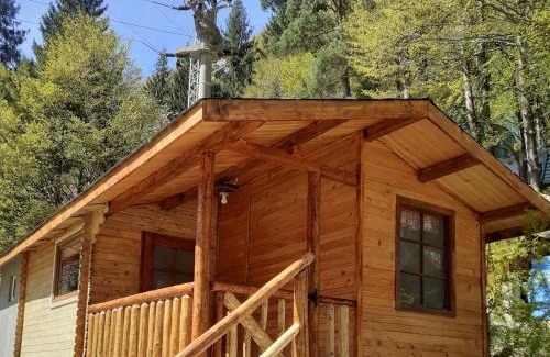 Oestii Paminteni Other | CABANUTE si CAMPING DRACULA
