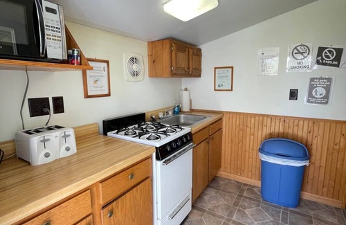 Brier Hill Cabin | Cabin 1 w/*DOCK ACCESS* and Spacious Yard
