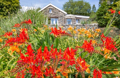 Beddgelert Cottage | Cabin ∙ 2 bedrooms ∙ 4 guests