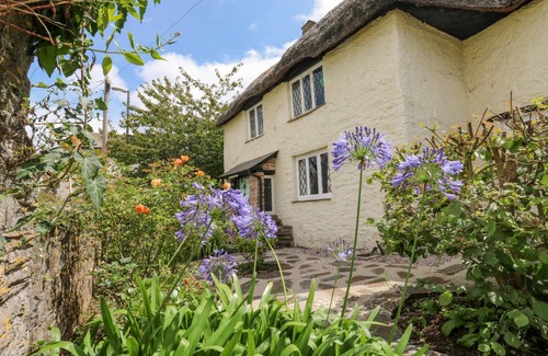 Brixham Cottage | Cabin ∙ 4 bedrooms ∙ 8 guests