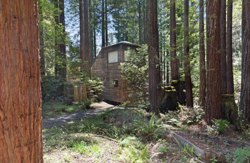 Sea Ranch Hotel | Cabin 55