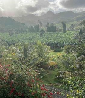 Le Lamentin Apartment | Calm stay in a lush setting