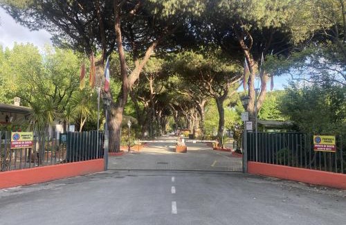 Marina di Massa Other | Camping Dal Pino
