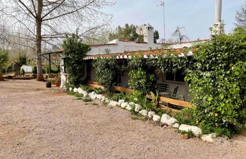 Fuenteheridos Other | Camping El Madroñal